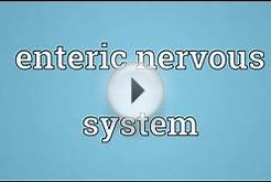 Enteric nervous system Meaning
